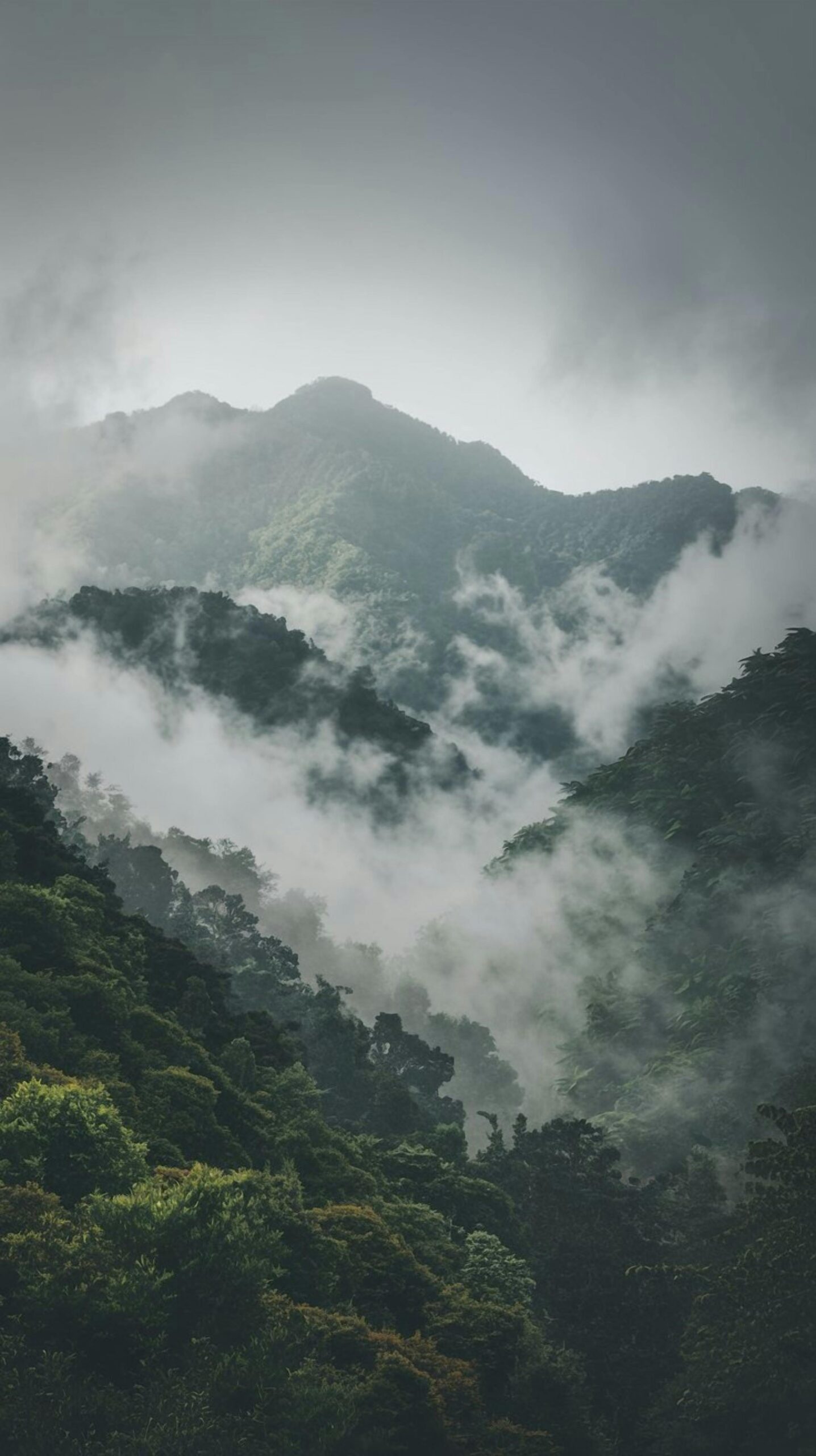 Chasing the Horizon: The Unending Joy of the Open Road pexels alamsaim 29280658 (1)