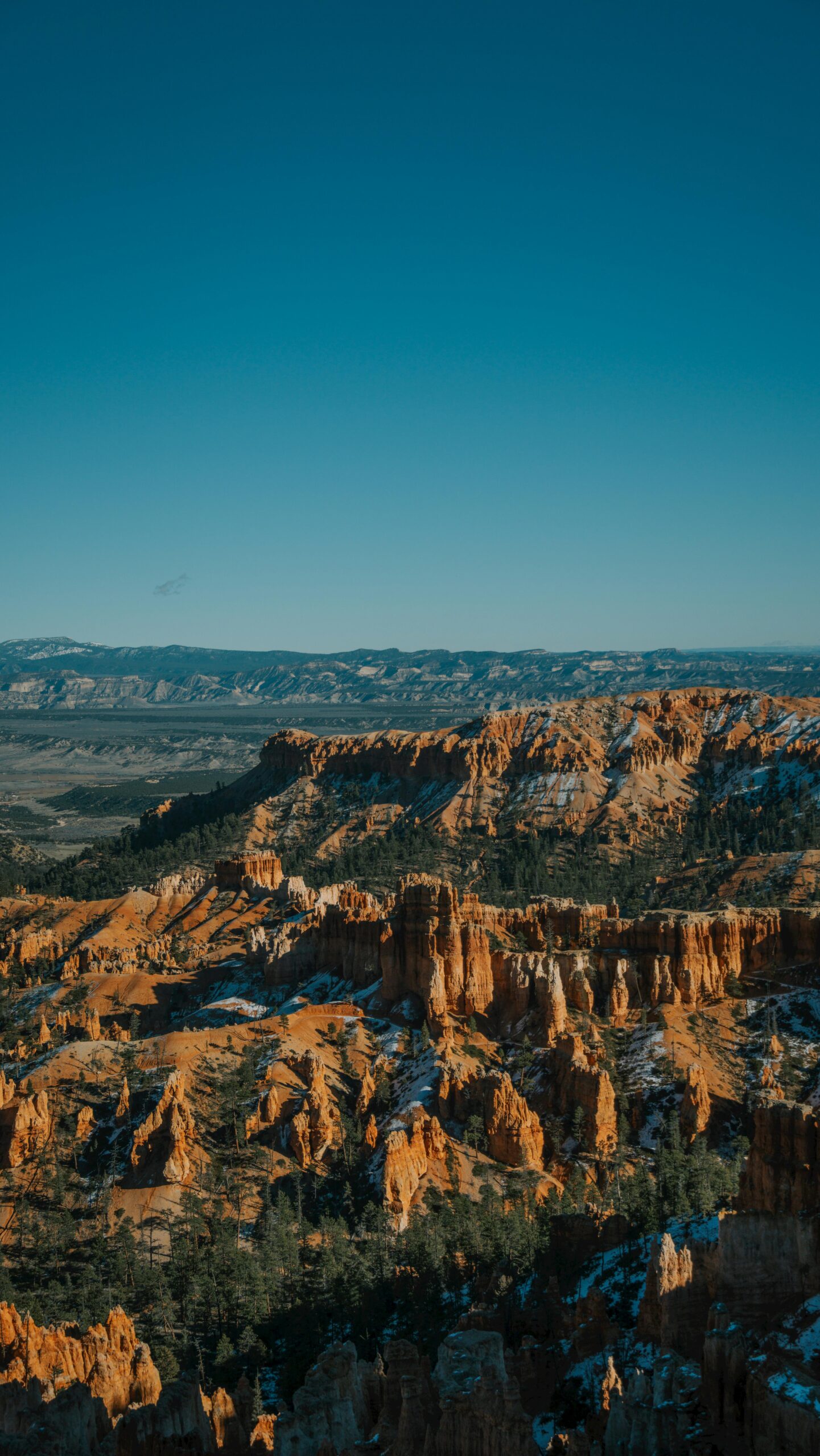 How Reconnecting with the Earth Resets Our Minds pexels alex ning 523843601 34919183