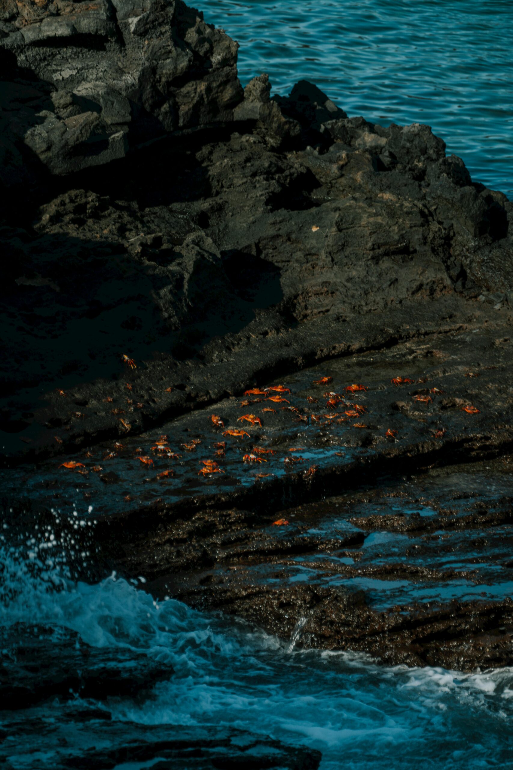 The Rhythm of the Tides: How the Ocean Teaches Us to Ebb and Flow pexels alex ning 523843601 37069045