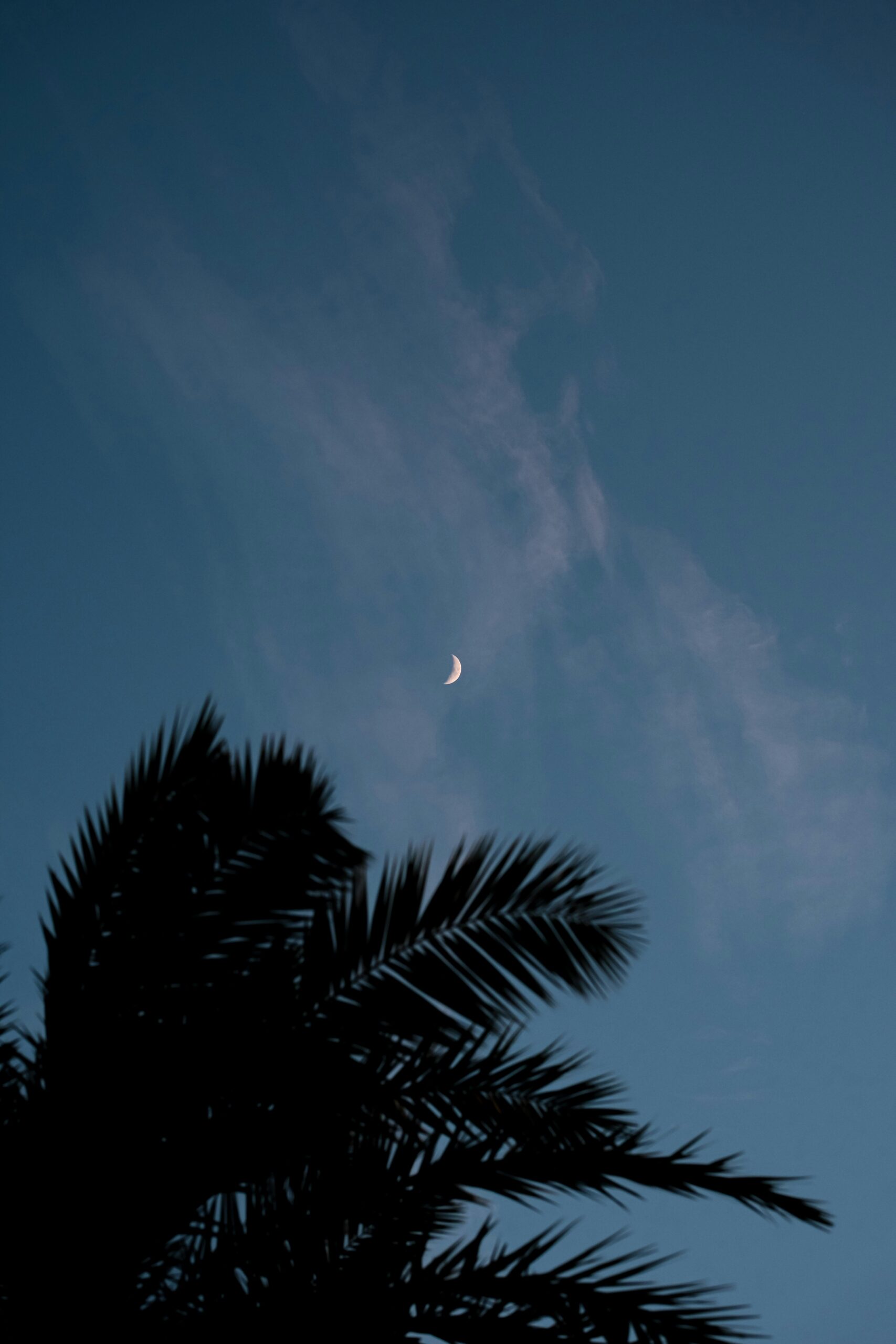 Shadows Beneath the Constellations: Balancing Dreams with Reality pexels connorscottmcmanus 14591008