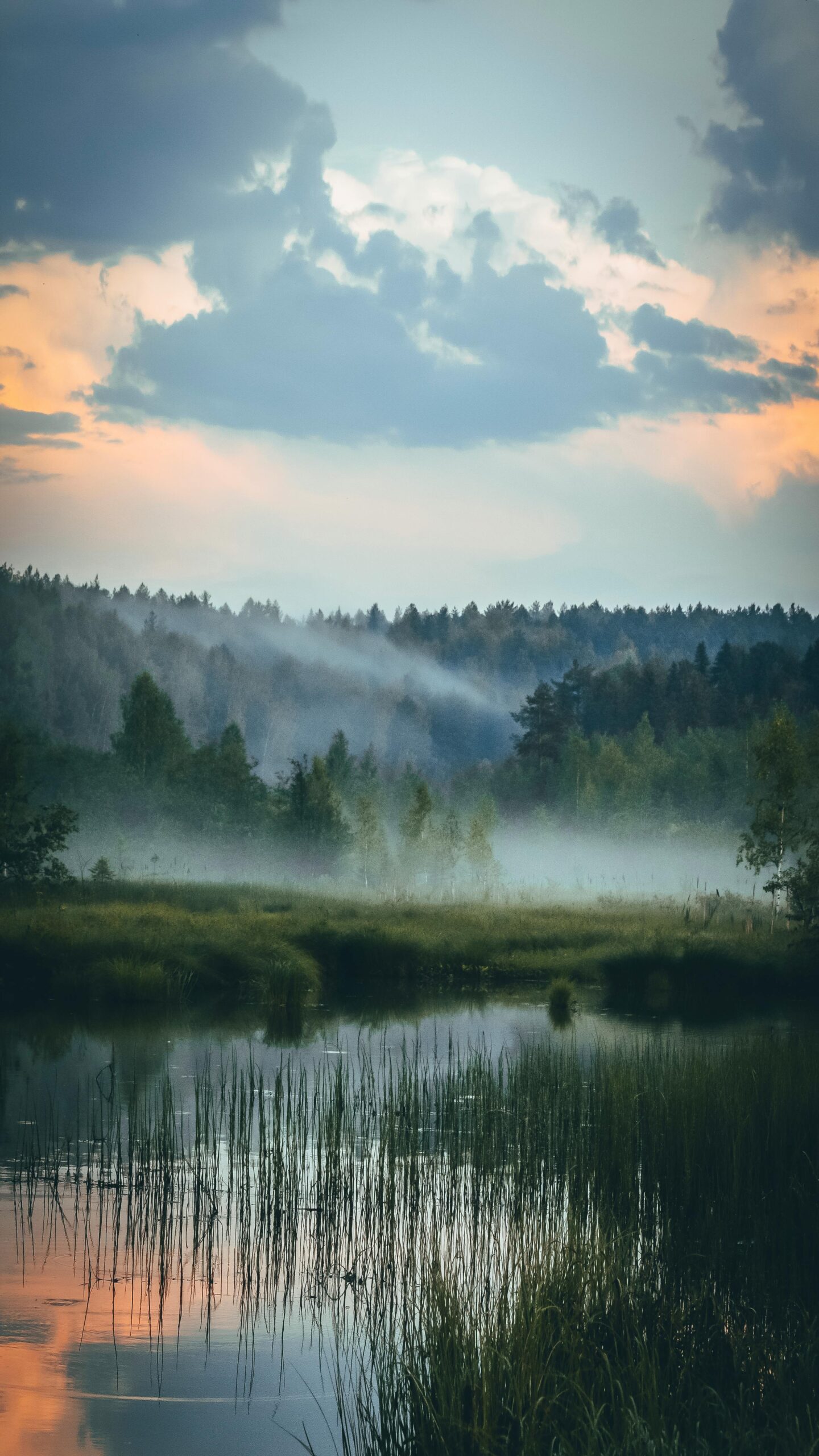 A Sanctuary of Green: Creating Your Own Natural Space to Unwind pexels danila popov 85164195 9007366