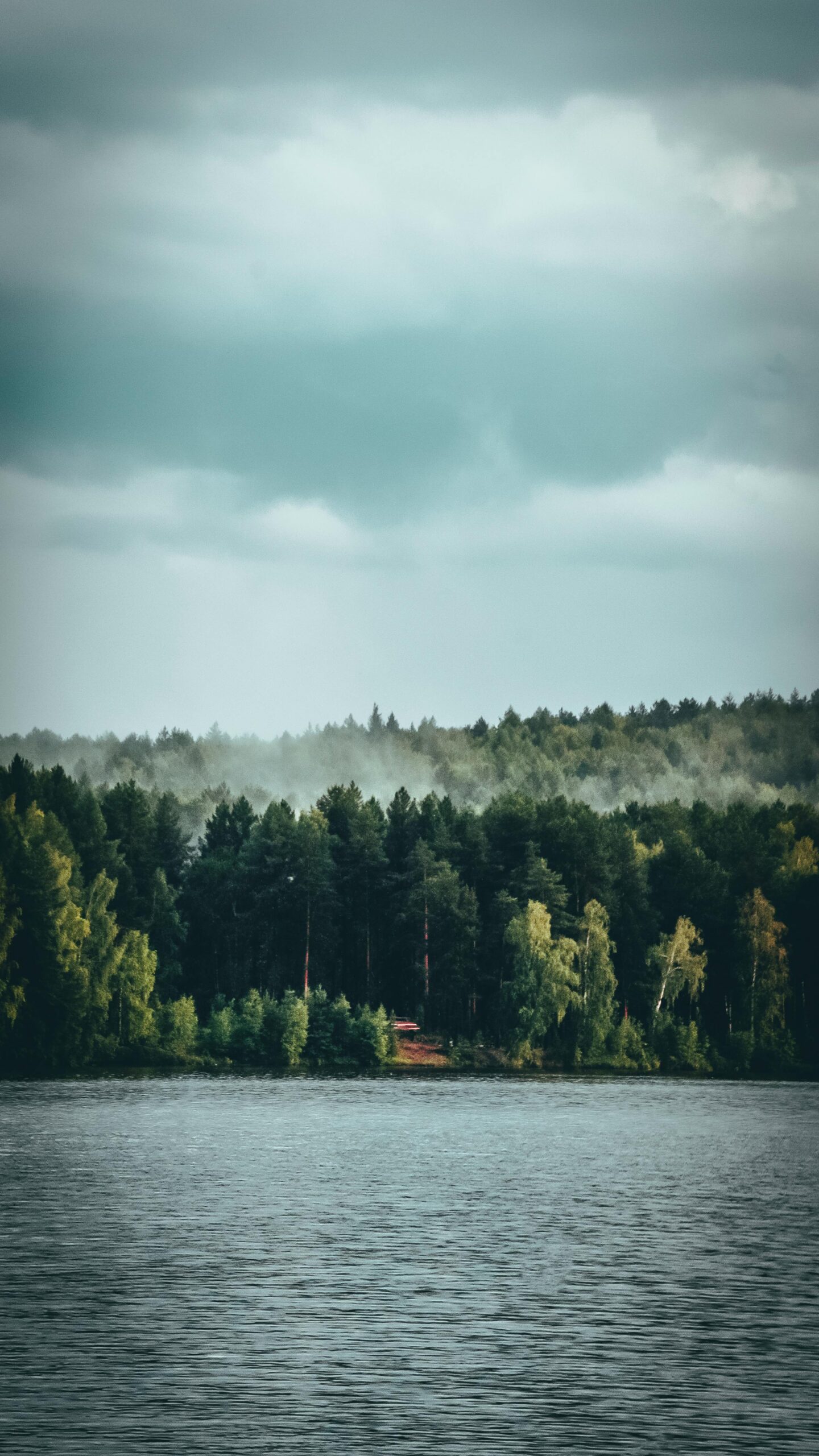 pexels danila popov 85164195 9534346