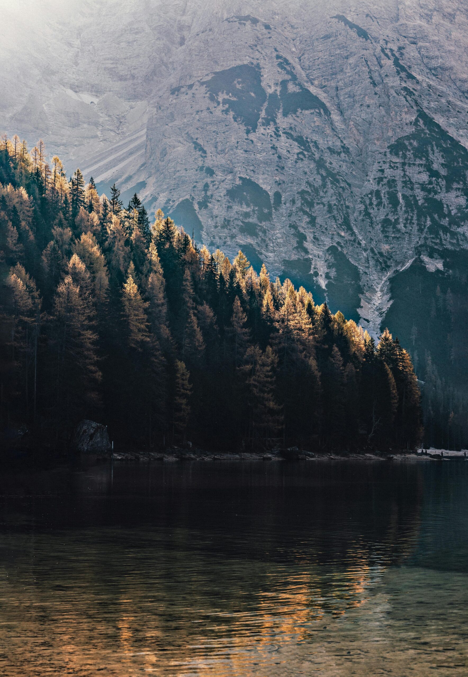 How Reconnecting with the Earth Resets Our Minds pexels eberhardgross 1743366