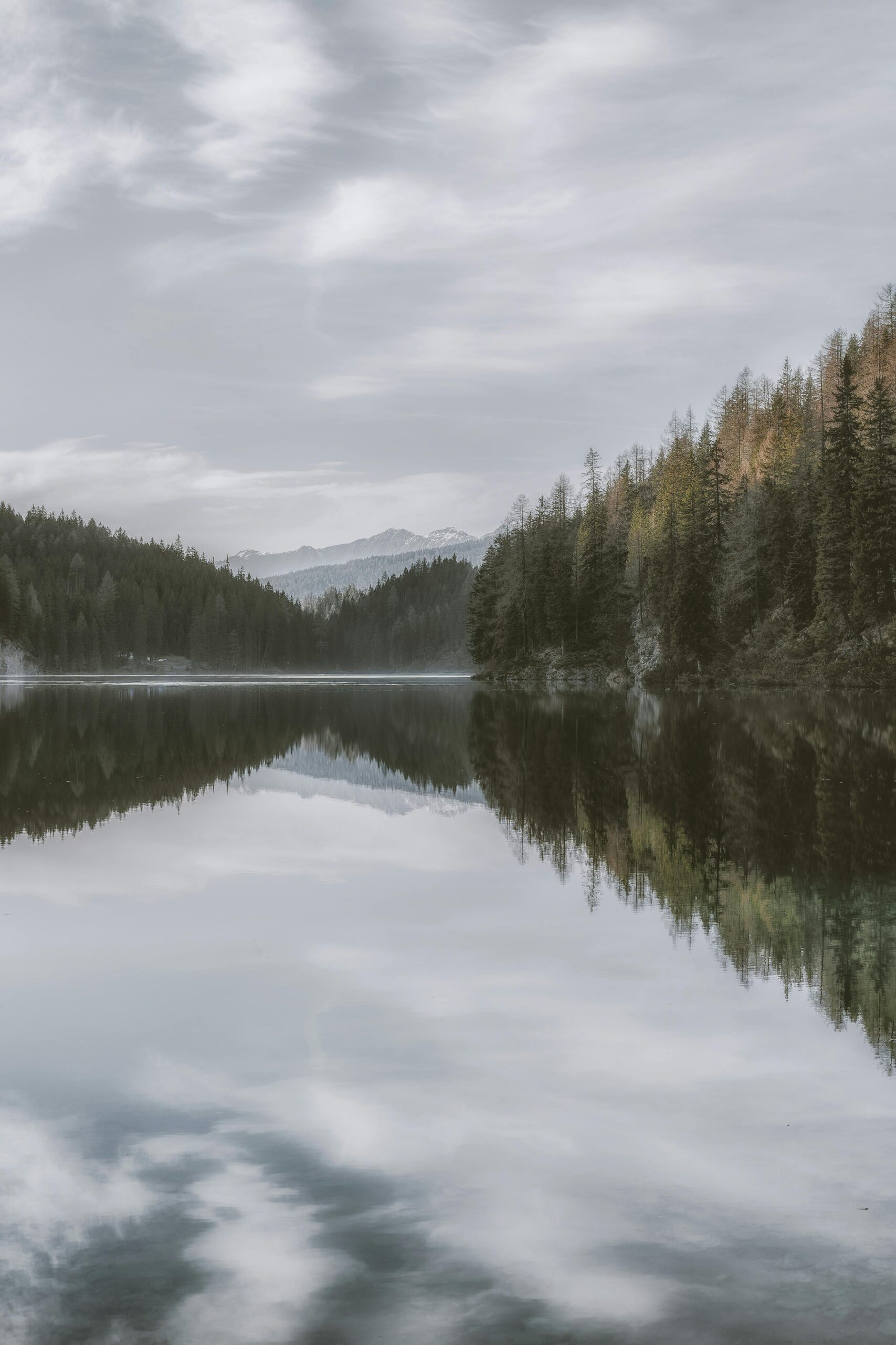 The Weight of the Deep: Finding Stillness Beneath the Noise pexels eberhardgross 2217358
