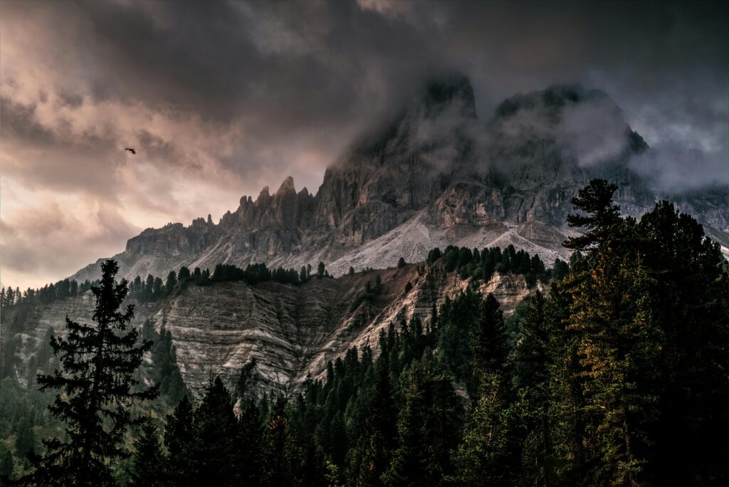 How Reconnecting with the Earth Resets Our Minds pexels eberhardgross 640781
