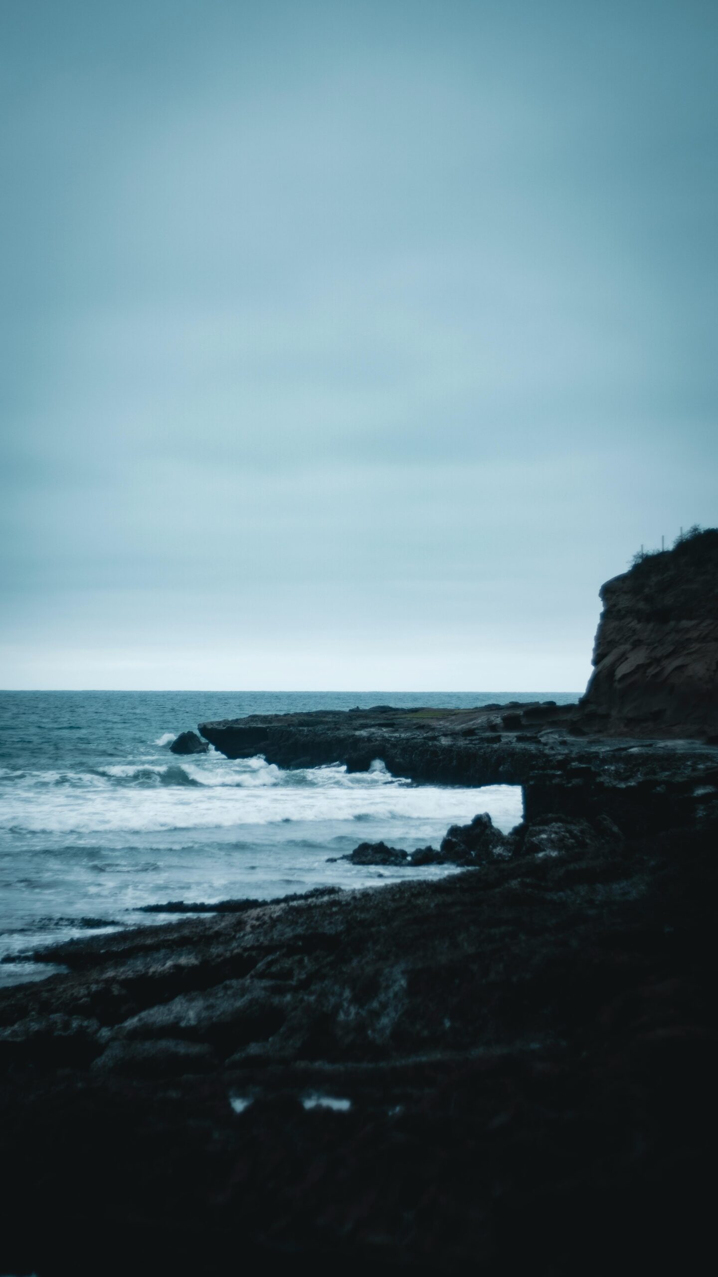 The Rhythm of the Tides: How the Ocean Teaches Us to Ebb and Flow pexels esteban santiago gonzalez 239179106 12314826