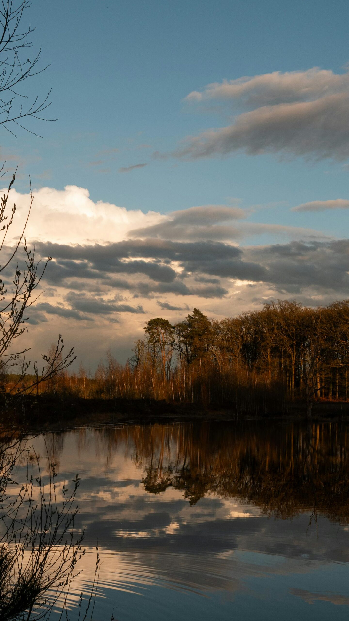 Soft Light Through the Trees: How Nature Lowers Our Daily Stress pexels fer id 830123815 31347999