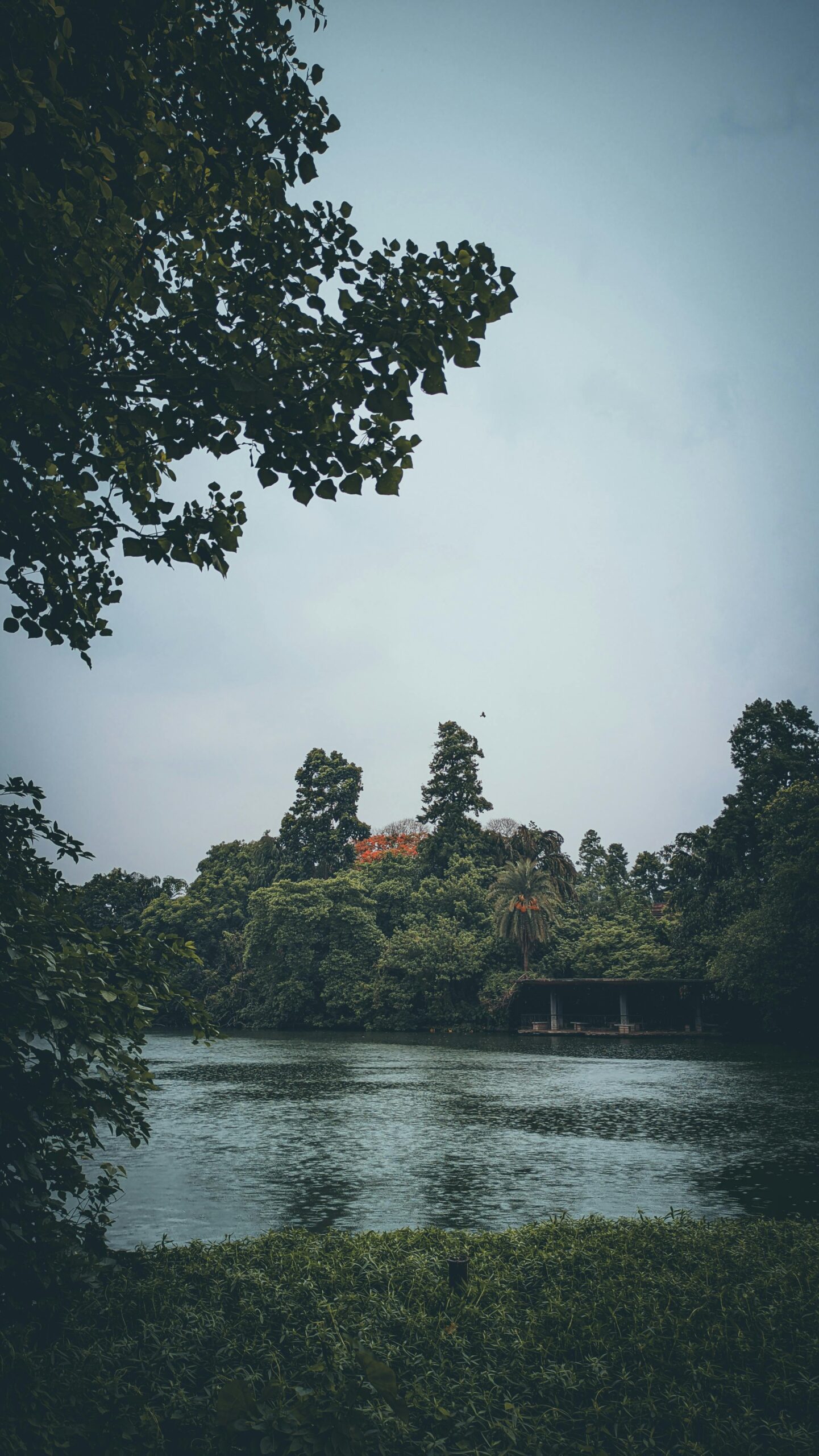 pexels igchandankumar 16862338