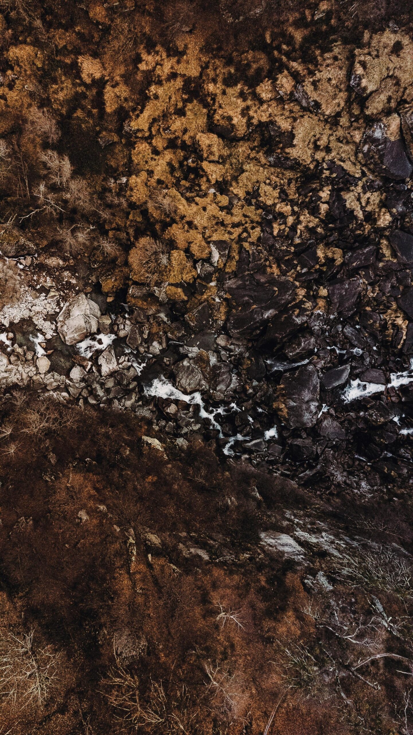 Rooted in the Soil: Simple Ways to Ground Your Mind in a Busy World pexels image hunter 281453274 34891313