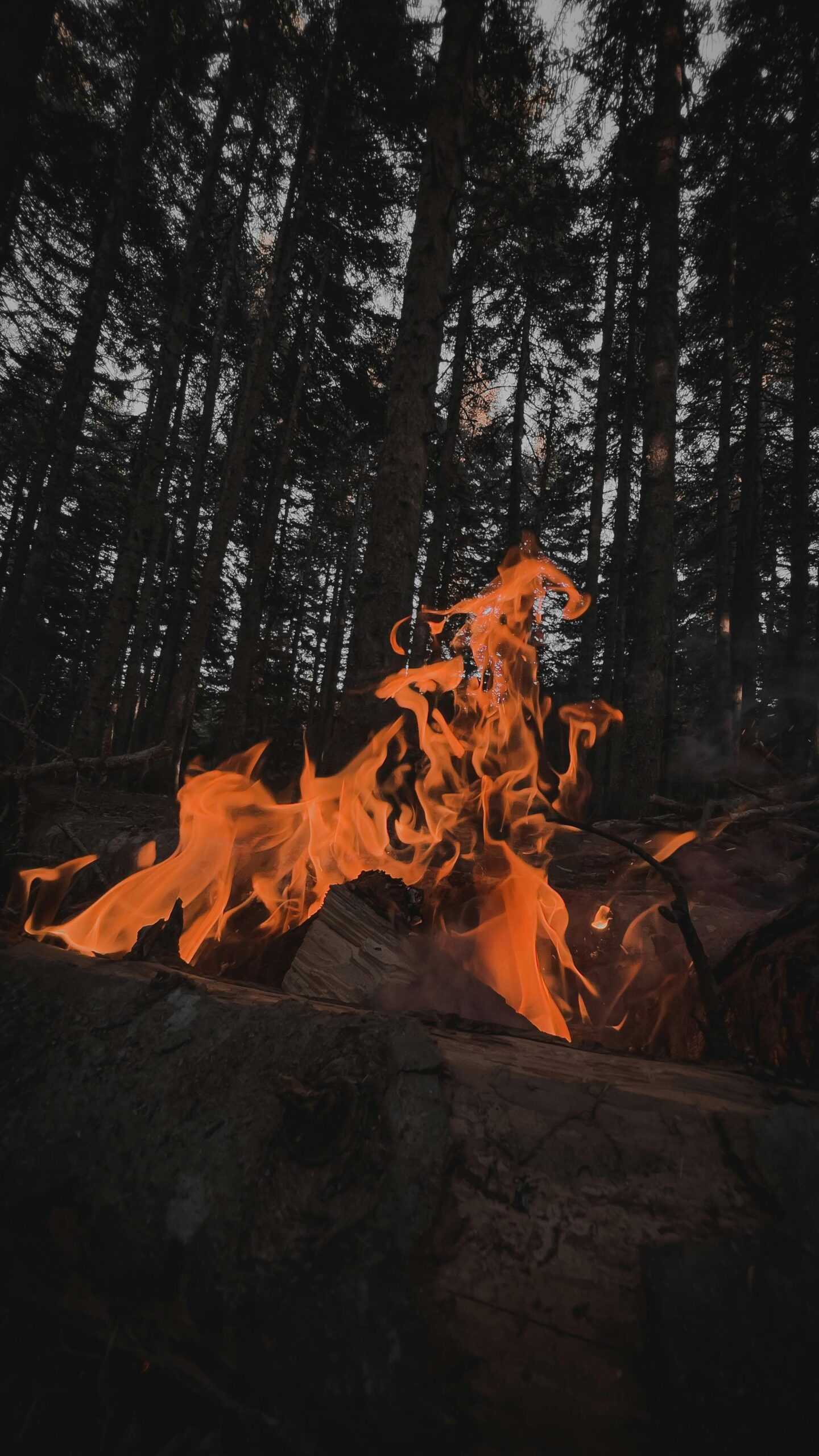 Raw Fire, Black Sand: Forging an Unshakable Foundation pexels kampveyaban 15677771 (1)