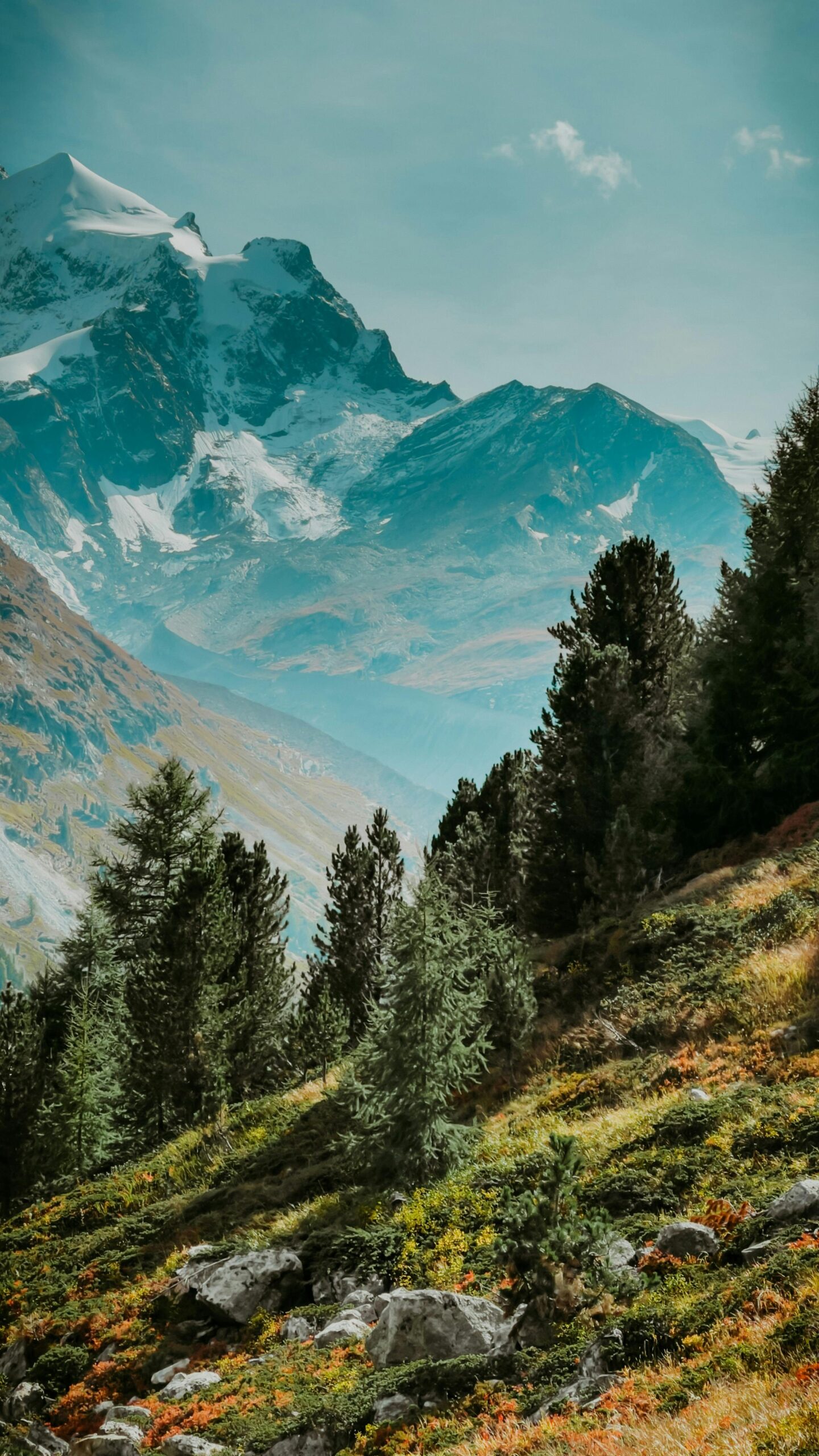 Chasing the Horizon: The Unending Joy of the Open Road pexels pakkontrack 9744509